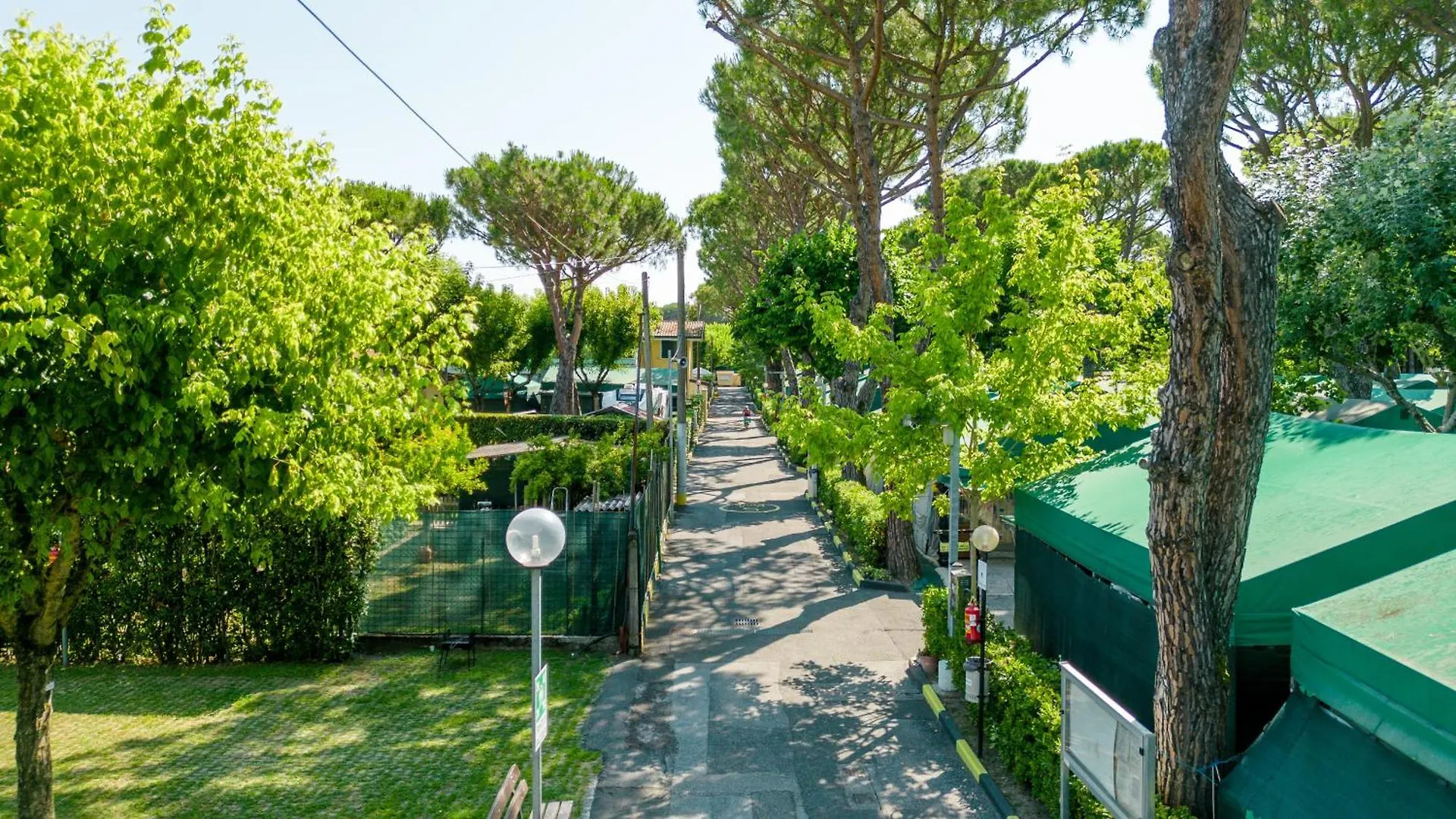 Campsite Camping Apuano Marina di Massa