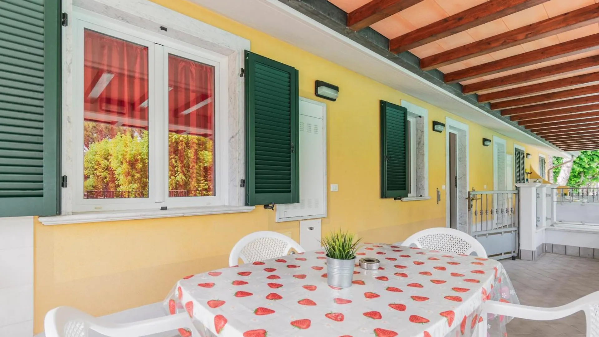 Camping Apuano Marina di Massa Campeggio