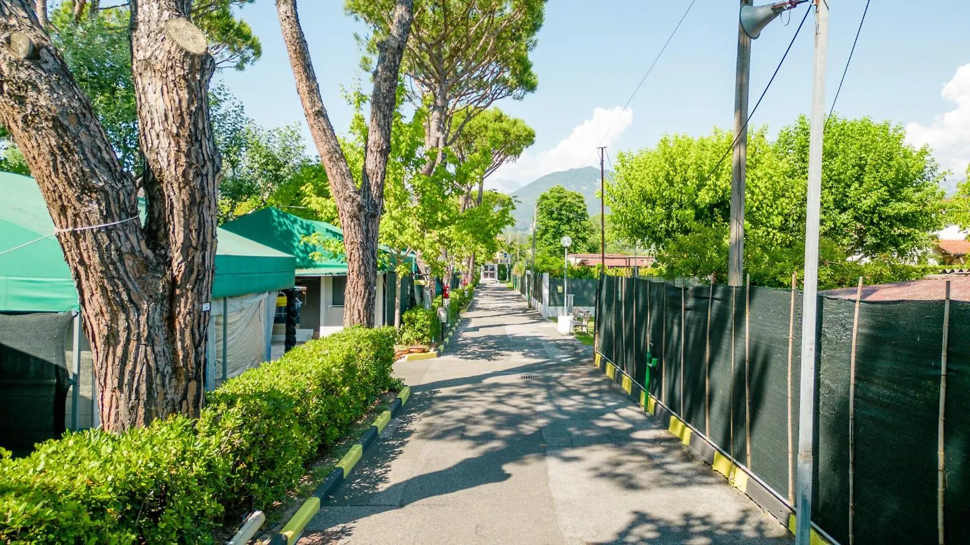 Camping Apuano Marina di Massa