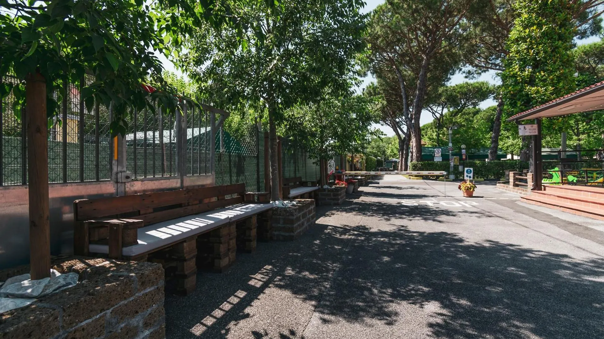 Campeggio Camping Apuano Marina di Massa