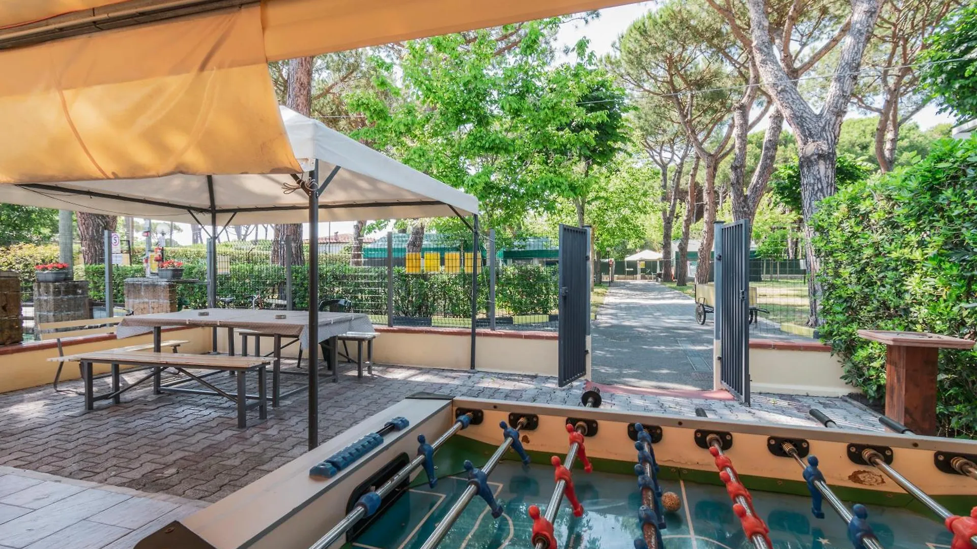 Camping Apuano Marina di Massa 0*,