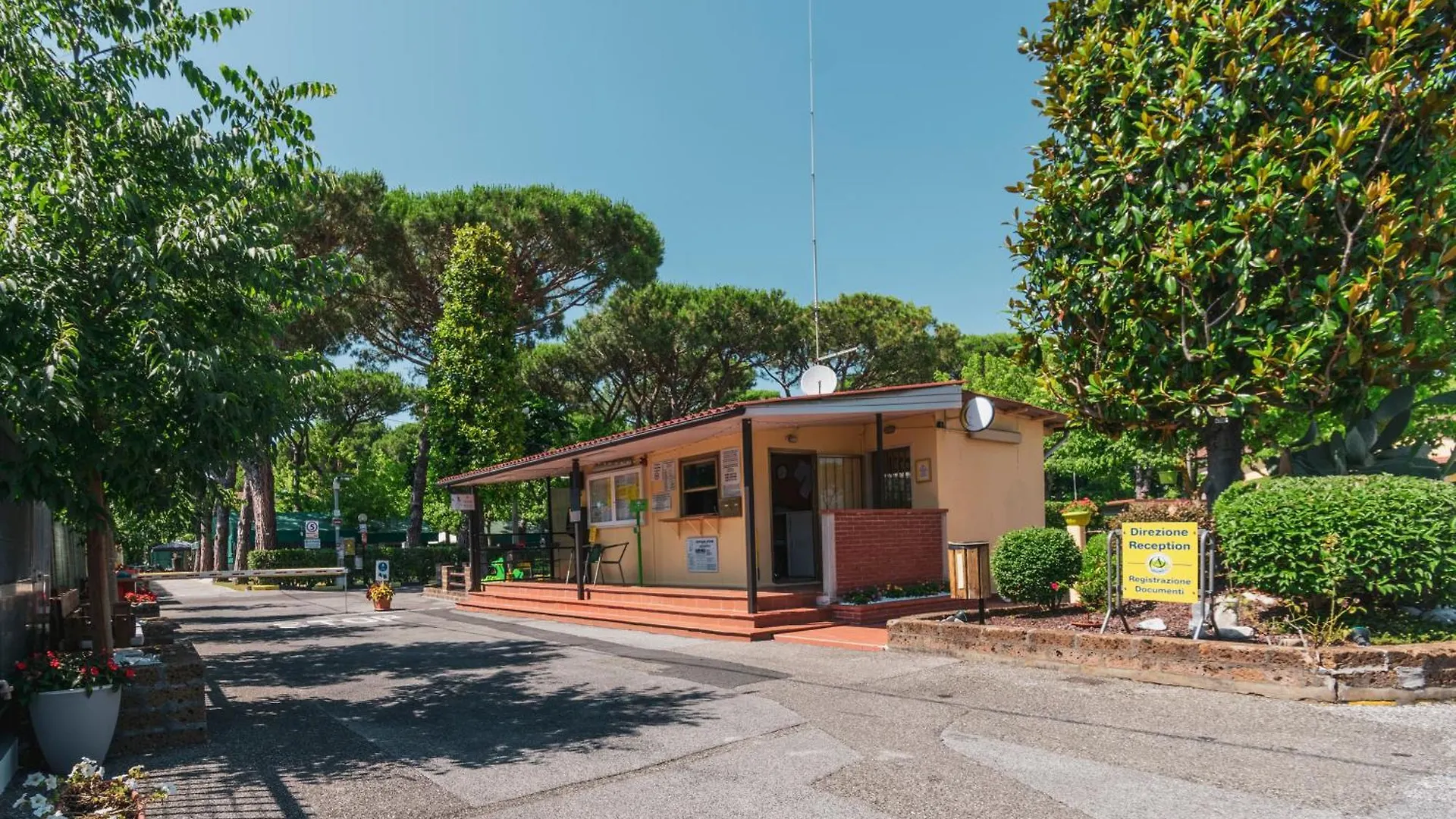 Camping Apuano Marina di Massa Campeggio